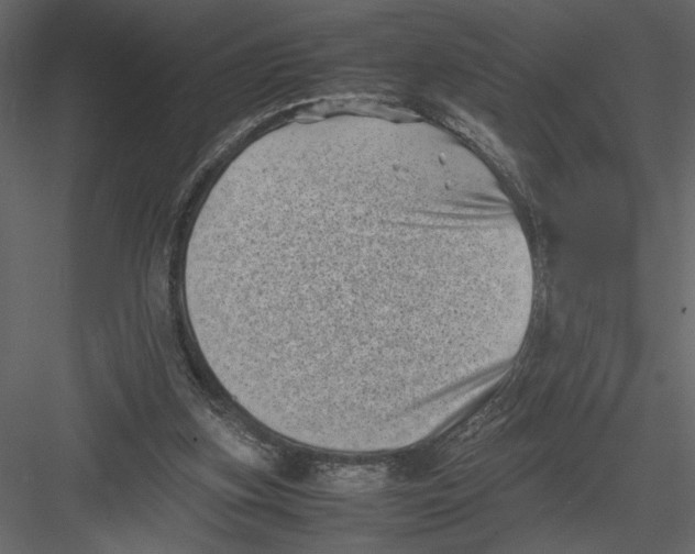 X0000082990155200702230109