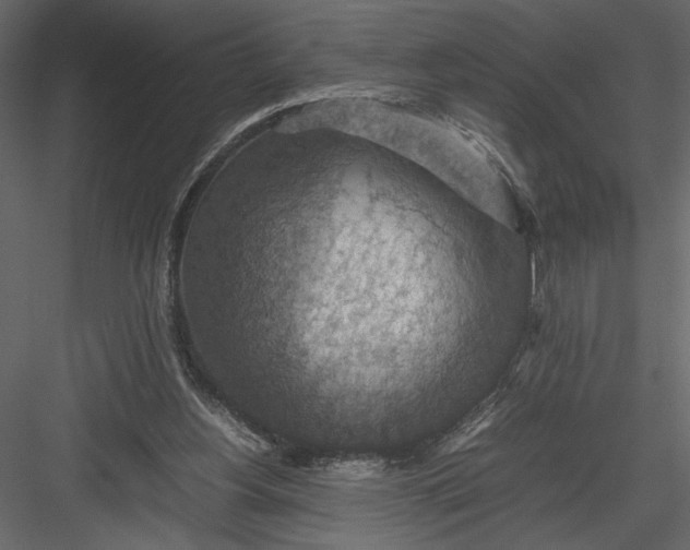 X0000082990156200702230109