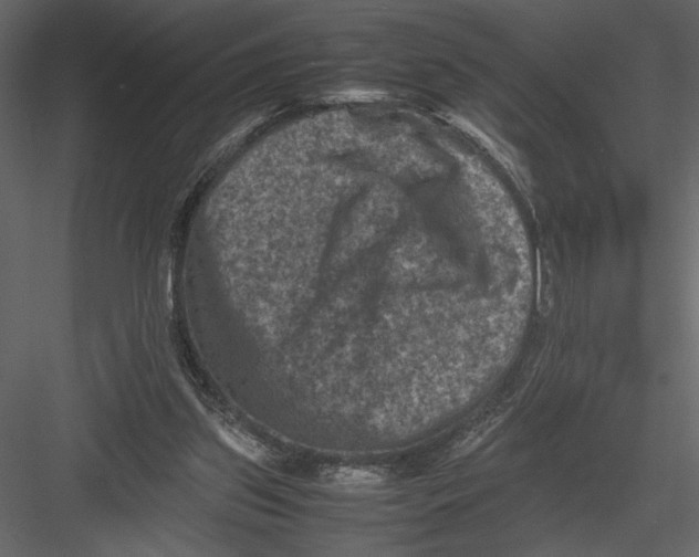 X0000082990157200702230109