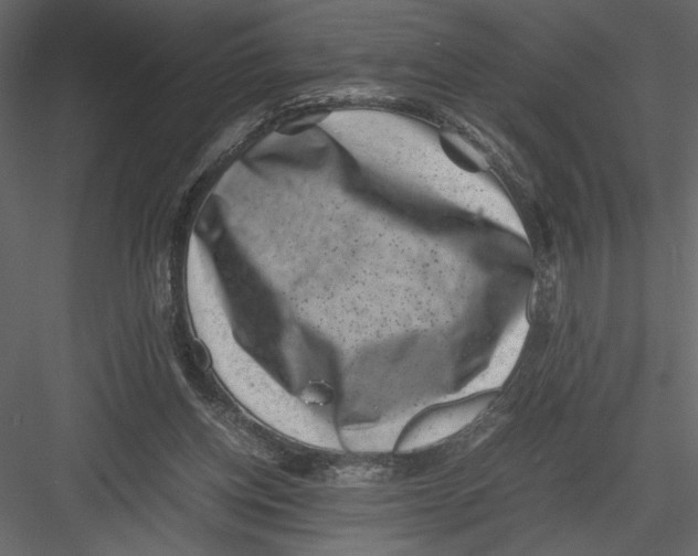 X0000082990158200702230109