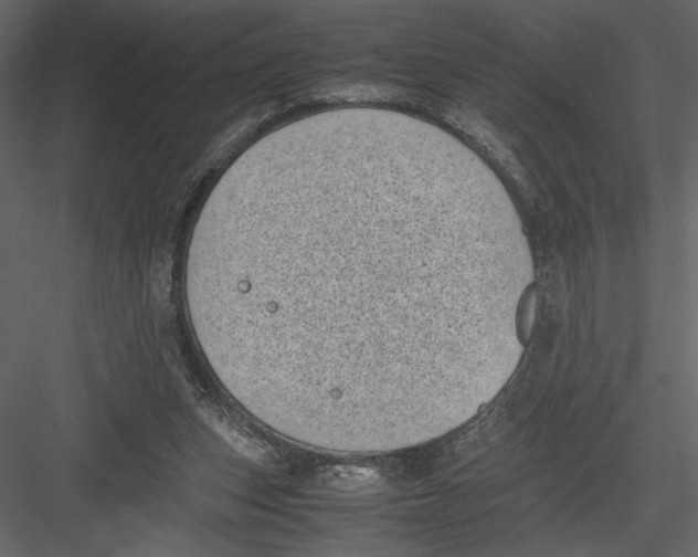 X0000082990159200702230109