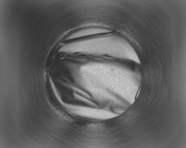 X0000082990160200702230109