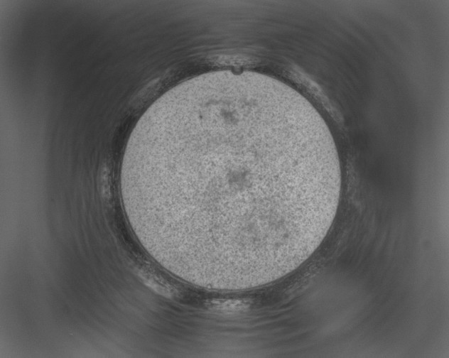 X0000082990161200702230109