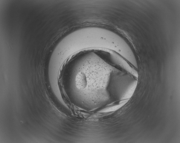 X0000082990162200702230109