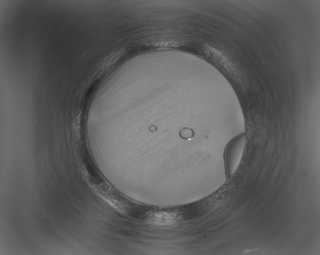 X0000082990163200702230109