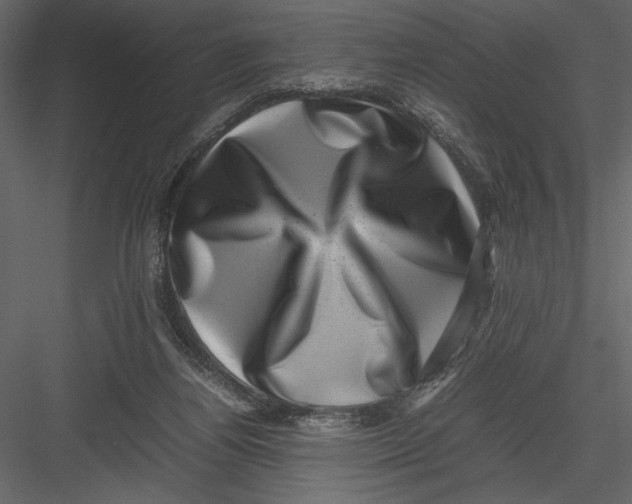 X0000082990164200702230109