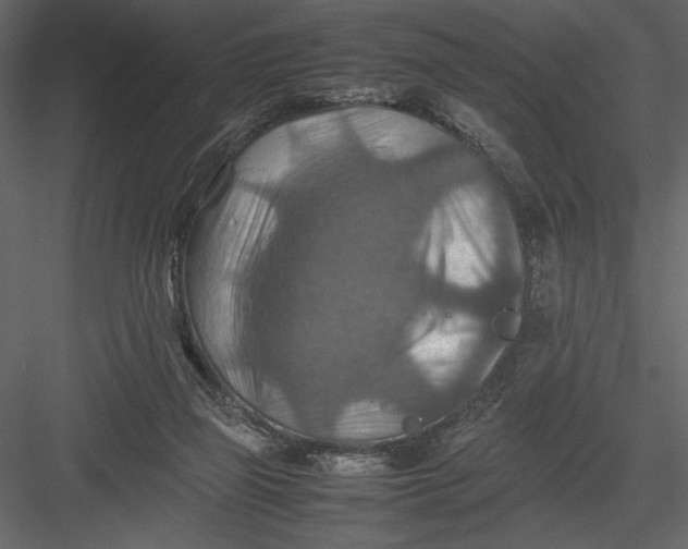 X0000082990165200702230109