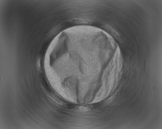 X0000082990166200702230109