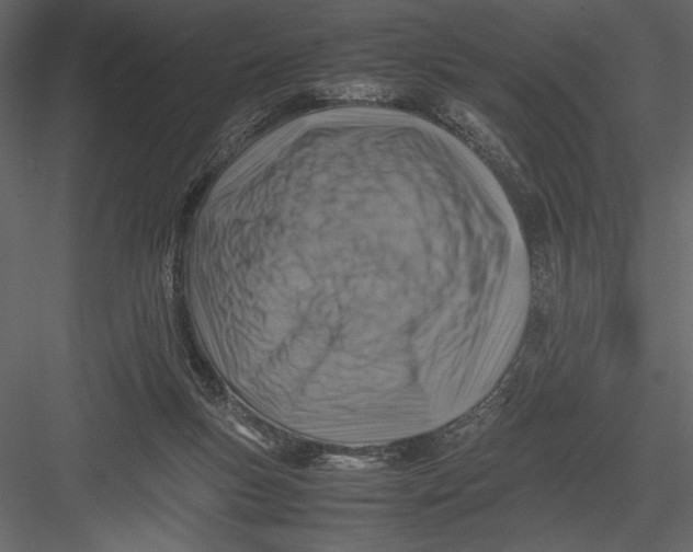 X0000082990167200702230109