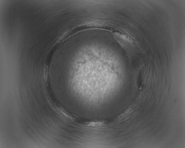 X0000082990168200702230109