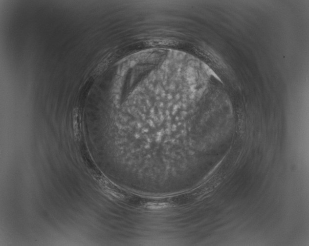 X0000082990169200702230109