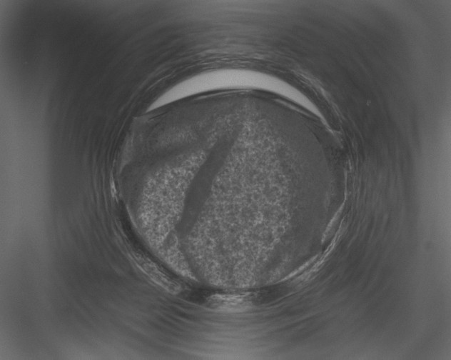 X0000082990170200702230109