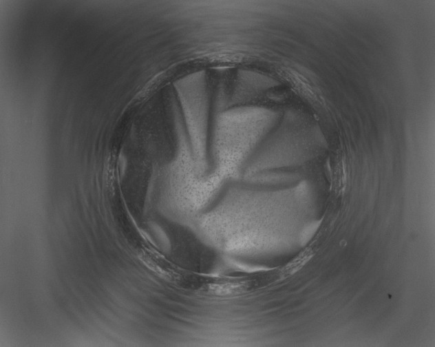 X0000082990172200702230110