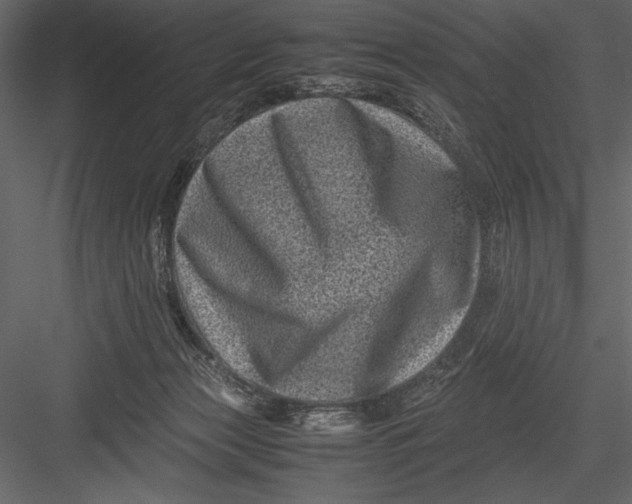 X0000082990173200702230110