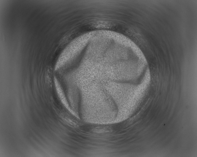 X0000082990175200702230110