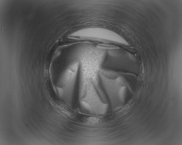 X0000082990176200702230110