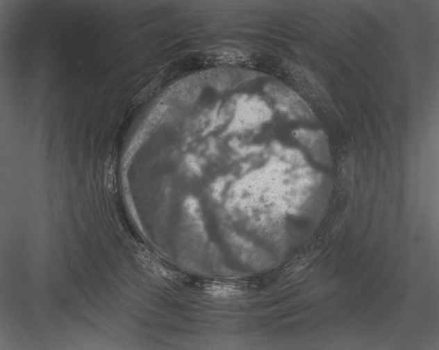 X0000082990177200702230110