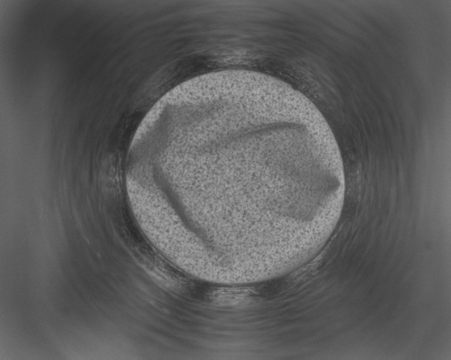 X0000082990179200702230110