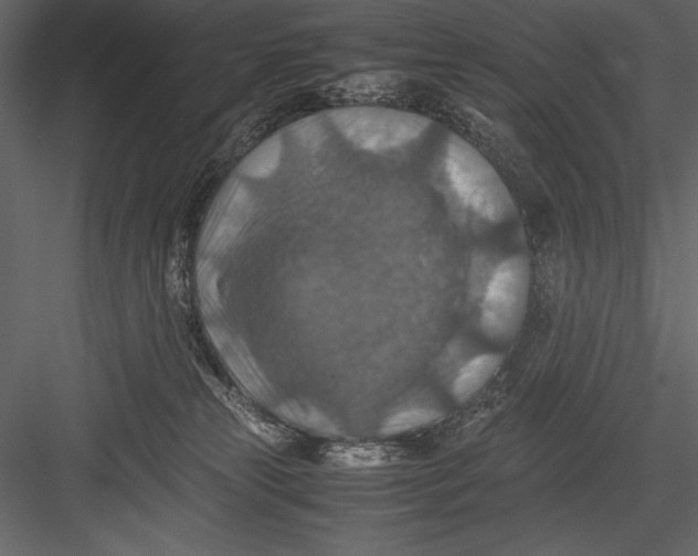 X0000082990181200702230110