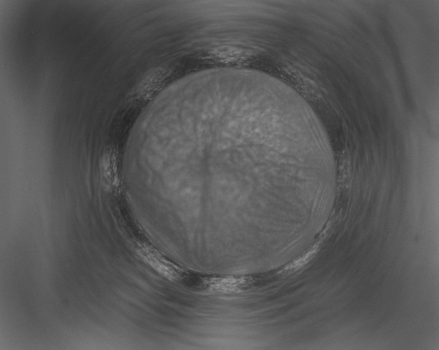 X0000082990182200702230110