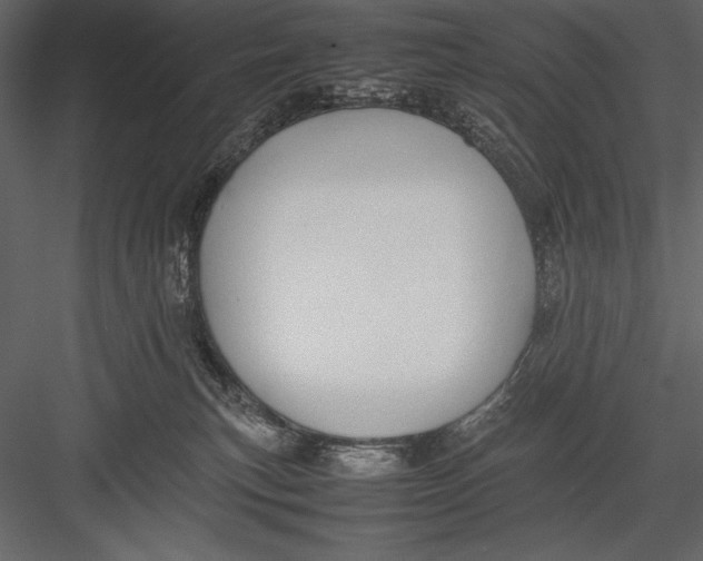 X0000082990183200702230110