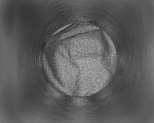 X0000082990185200702230110