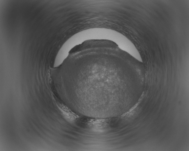 X0000082990186200702230110