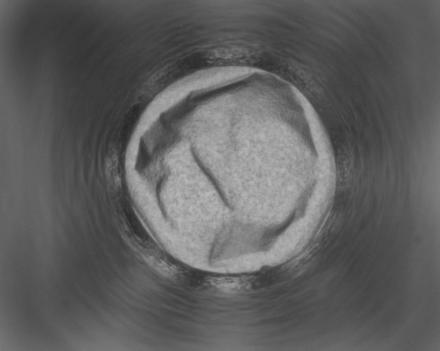 X0000082990187200702230110