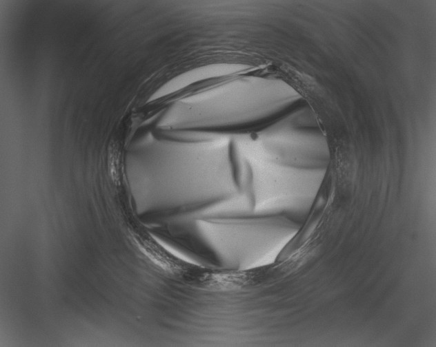 X0000082990188200702230110