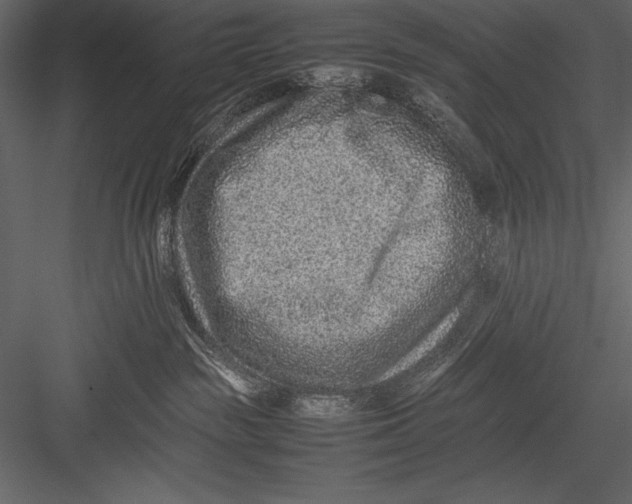 X0000082990189200702230110