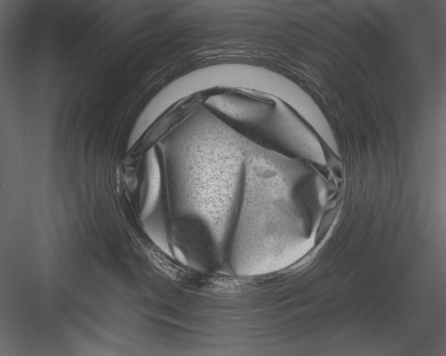 X0000082990190200702230110