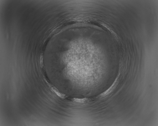 X0000082990192200702230110