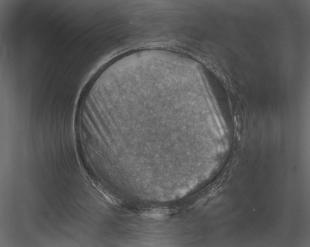 X0000082990196200702230109