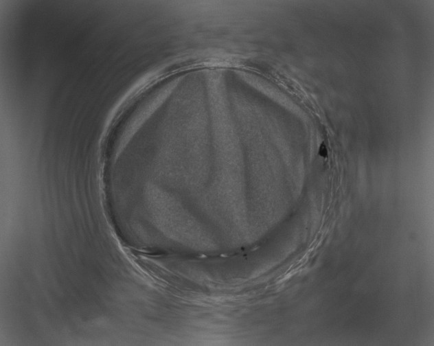 X0000082990197200702230109