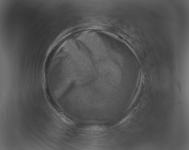 X0000082990198200702230109