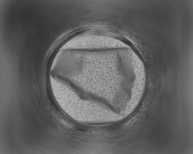 X0000082990199200702230109