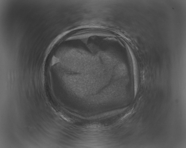 X0000082990200200702230109