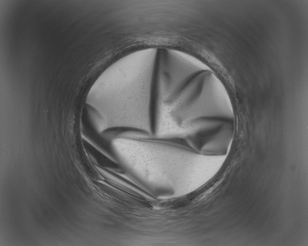 X0000082990201200702230109