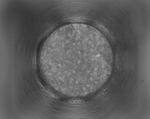 X0000082990202200702230109