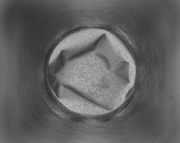 X0000082990203200702230109