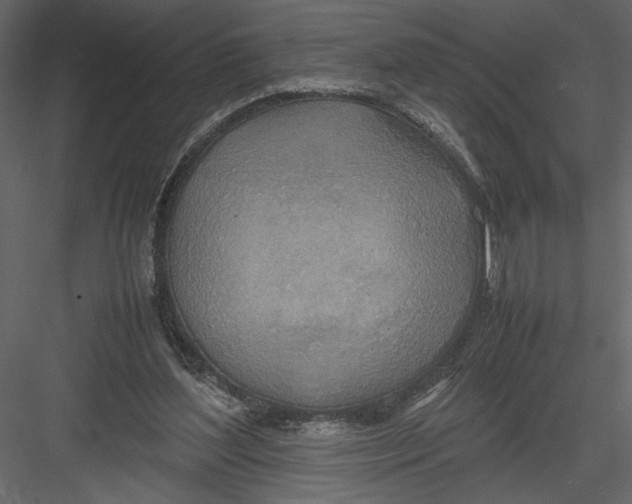 X0000082990204200702230109