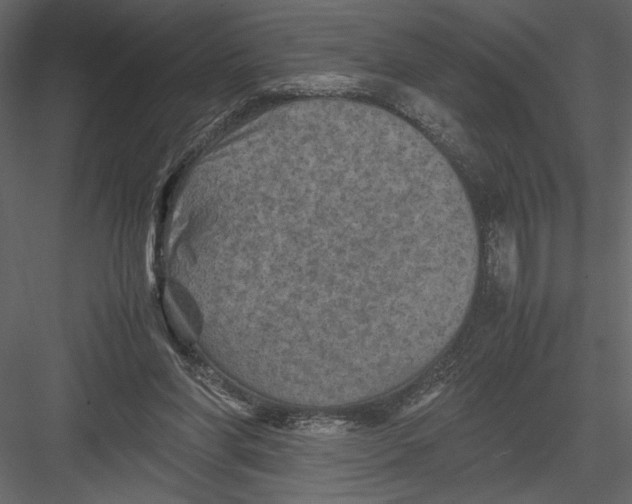 X0000082990206200702230109