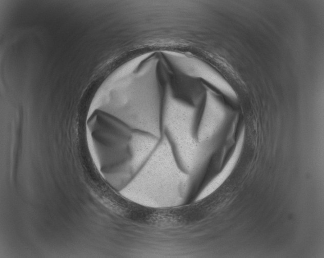 X0000082990207200702230109