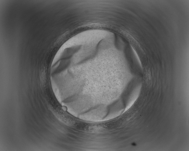 X0000082990208200702230109