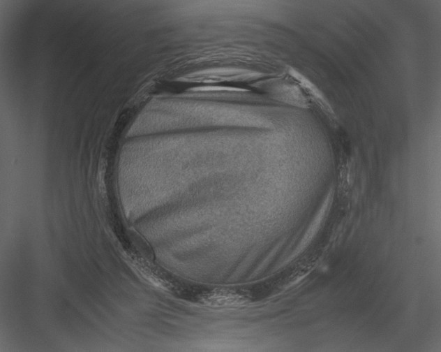 X0000082990209200702230109