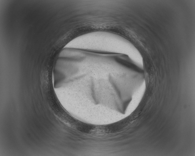 X0000082990211200702230109