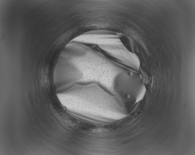 X0000082990212200702230109