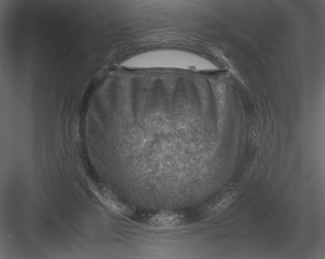 X0000082990213200702230109