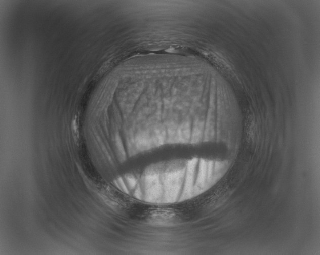 X0000082990214200702230109