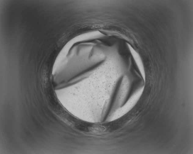 X0000082990215200702230109